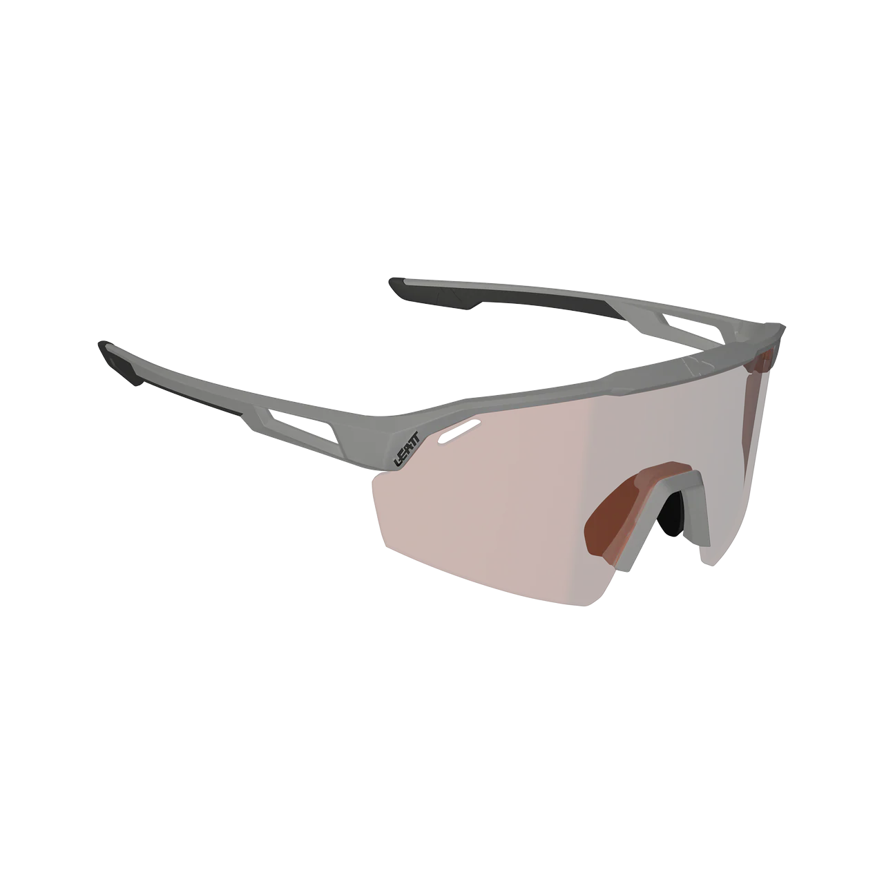 Sunglasses SpeedViz Lite - Grey Cryztal Rose 74 VLT