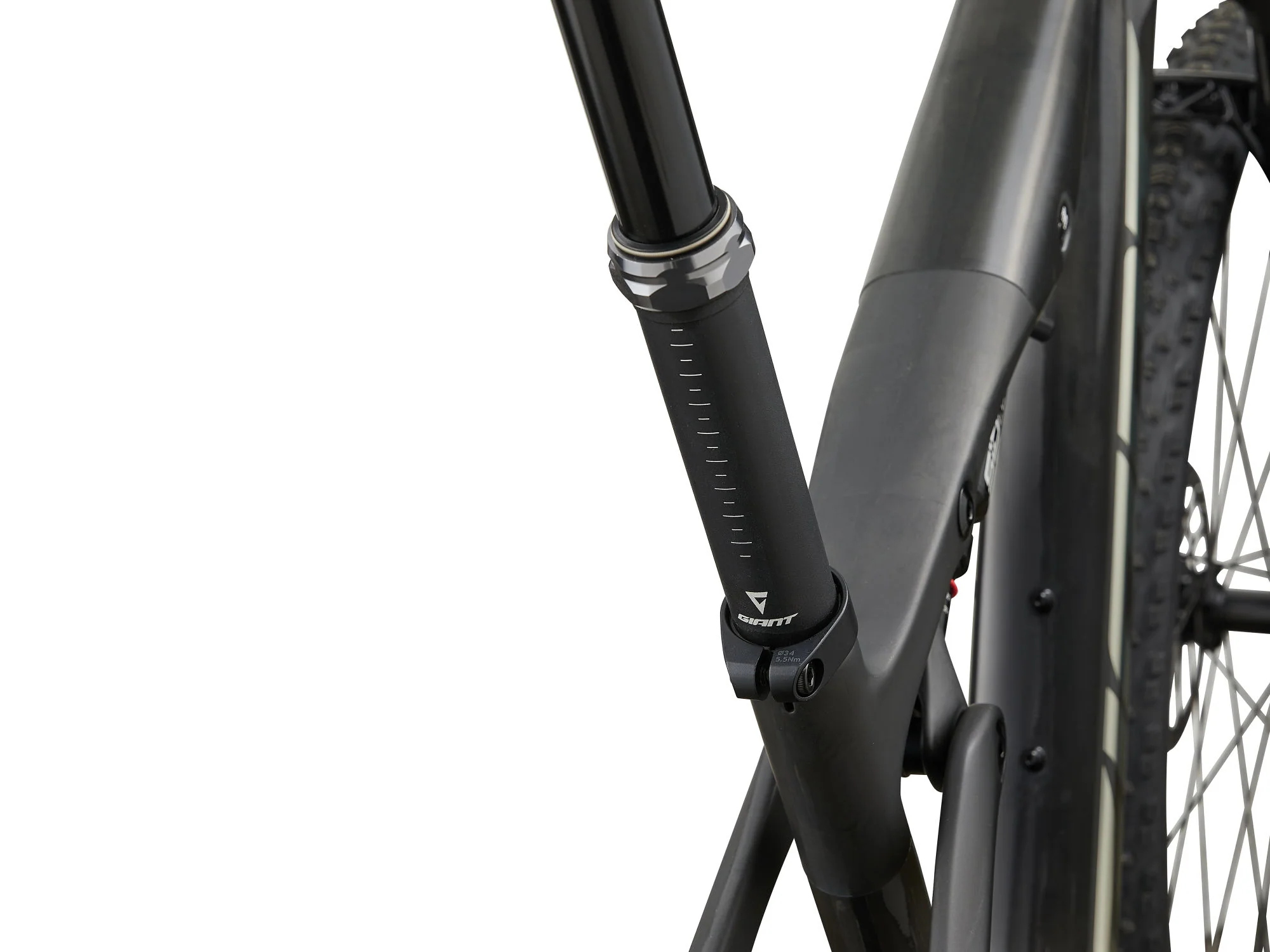 Anthem Advanced SL 0 - Raw Carbon - Image 5