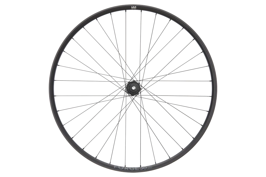 Forge 30 DH Strong 27.5" Aluminium, 6 Loch, 12x148 mm, Shimano Micro Spline - schwarz