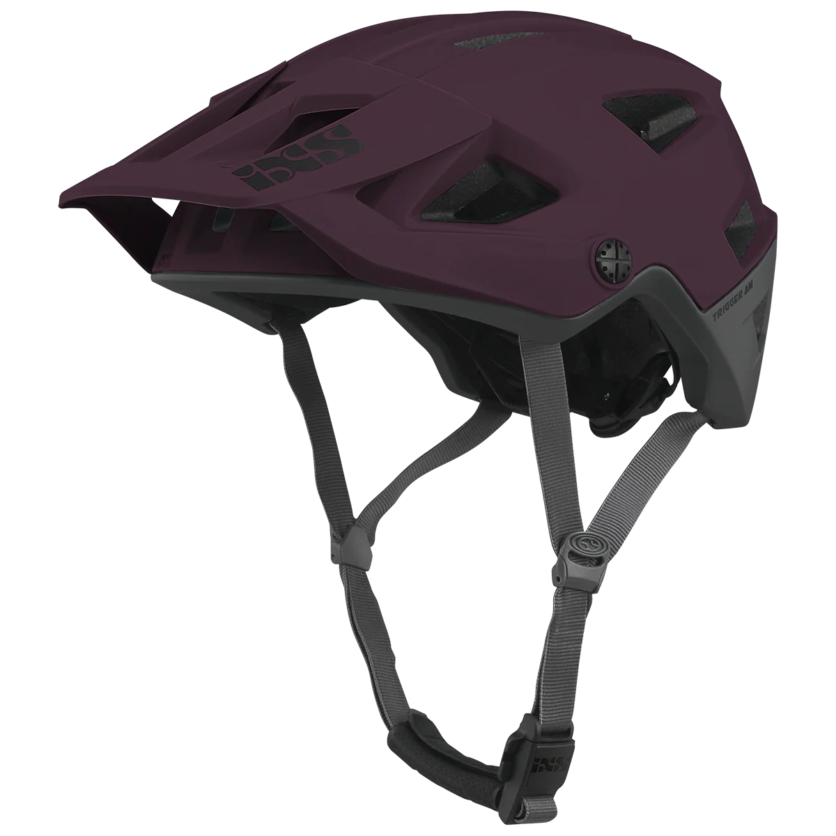 Trigger AM Helm - Raisin
