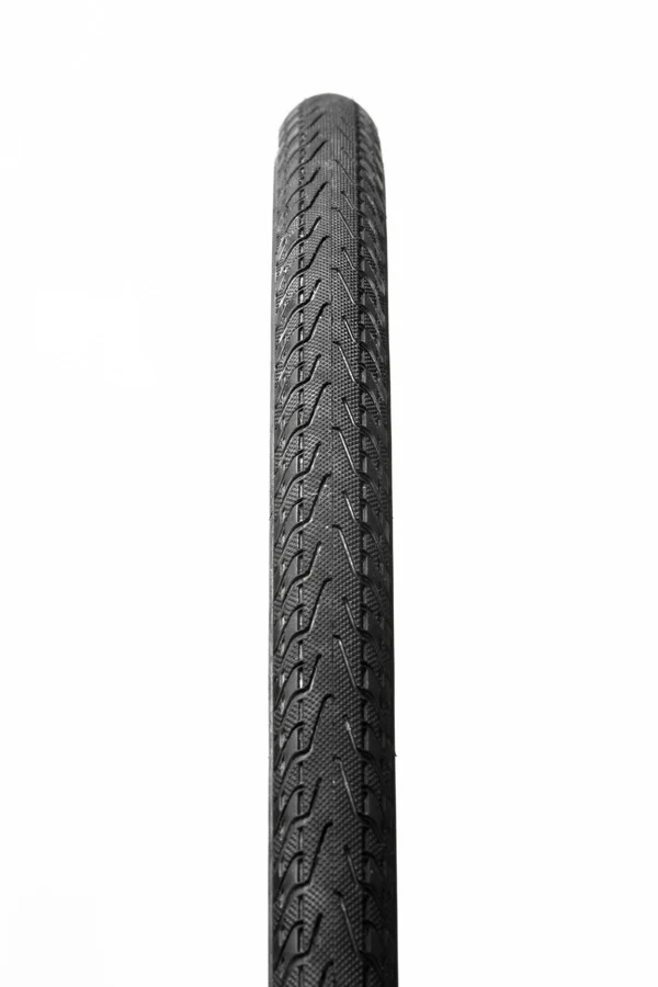 Pasela, 26" Drahtreifen - schwarz/skinwall - Image 2