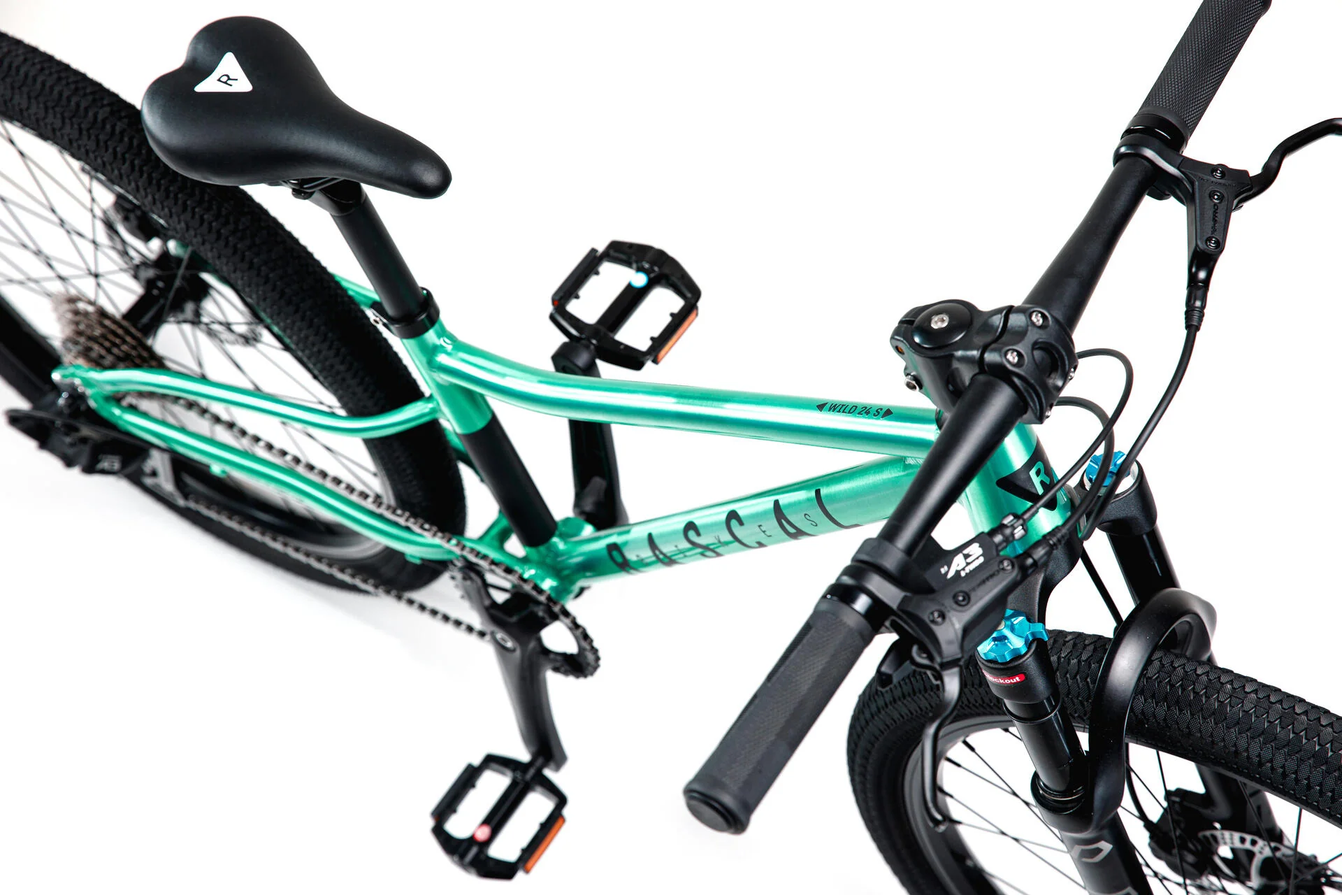 Wild 24 - Emerald - Image 3