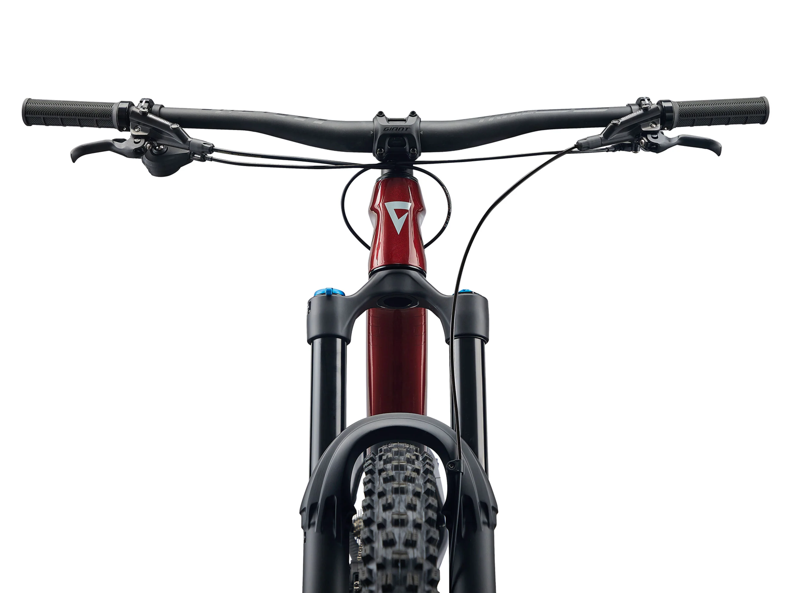 Reign Advanced 2 - Sangria / Carbon - Image 6