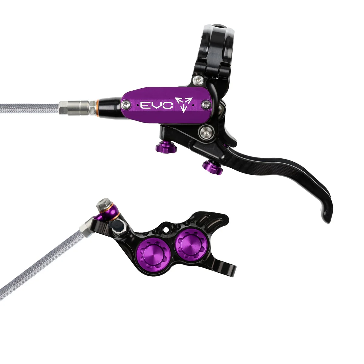Tech 4 EVO GR4 Scheibenbremse Stahlflexleitung - schwarz/purple