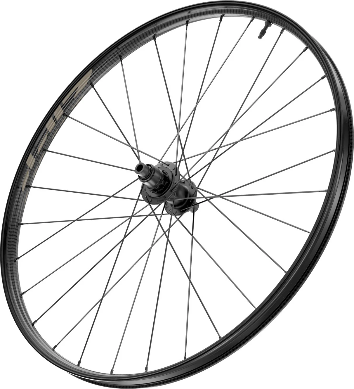 Hinterrad 101 XPLR DISC Centerlock, TLR - Dekore sand - Sram XDR - Image 4
